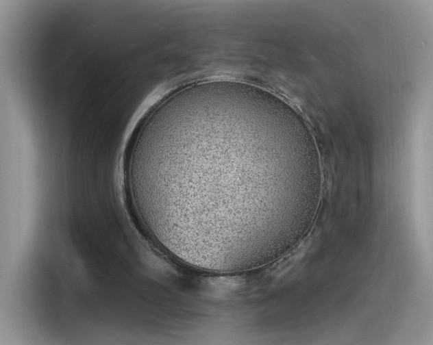 X0000115610102200911171156