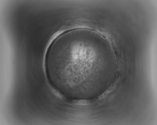 X0000115610104200911171156