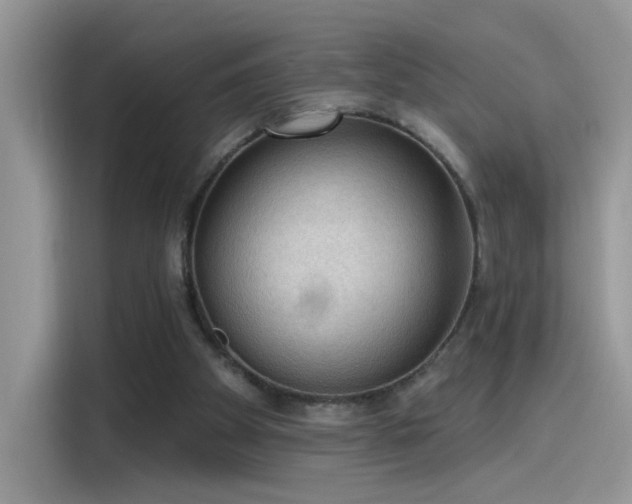 X0000115610105200911171156
