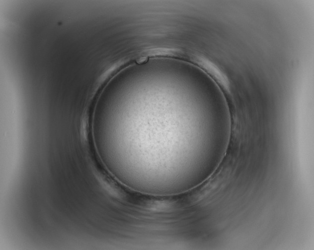 X0000115610107200911171156
