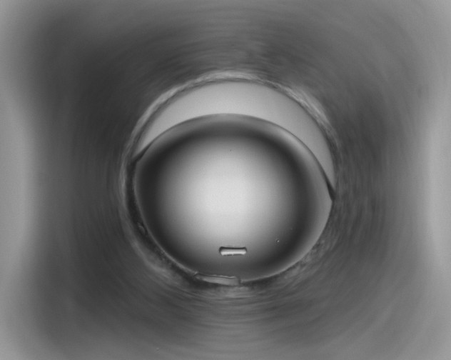 X0000115610108200911171156