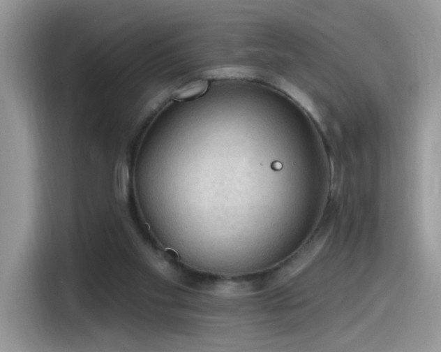 X0000115610109200911171156