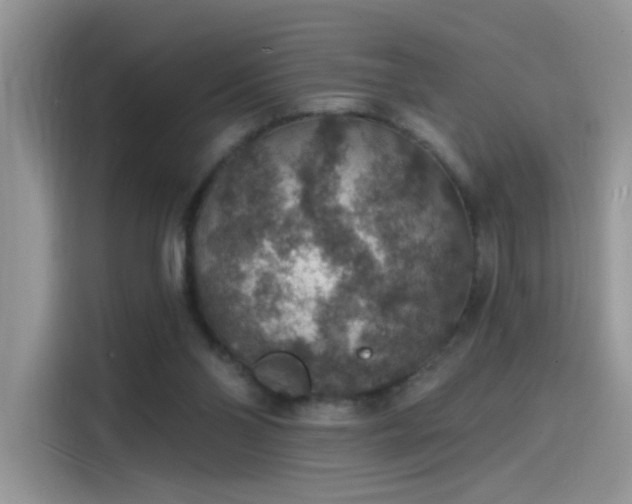 X0000115610110200911171156