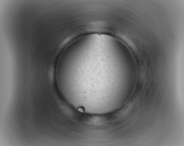 X0000115610111200911171156