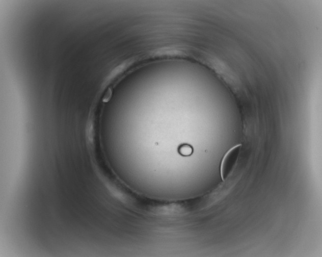 X0000115610112200911171156