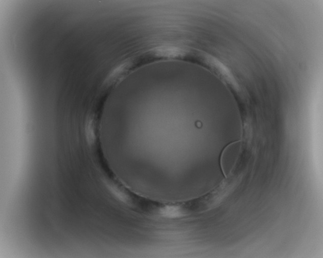 X0000115610114200911171156