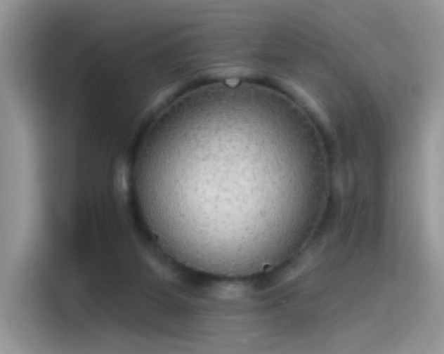 X0000115610115200911171156