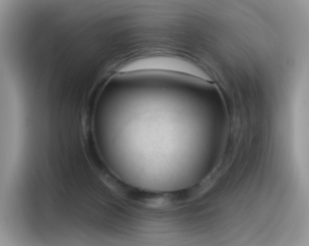 X0000115610116200911171156