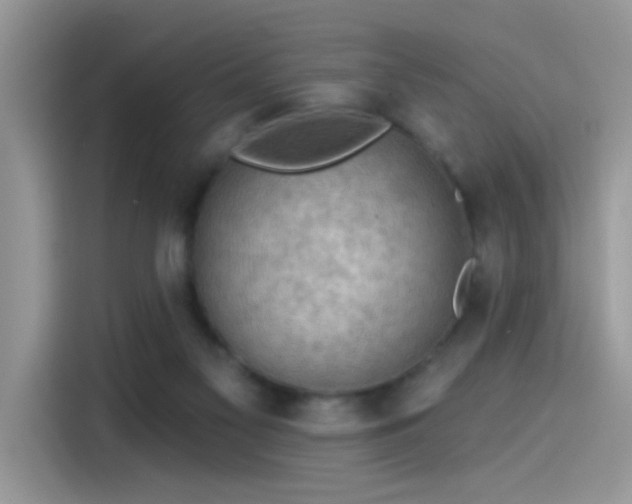 X0000115610117200911171156
