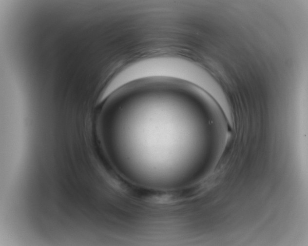 X0000115610120200911171156