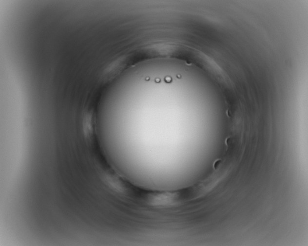 X0000115610122200911171156