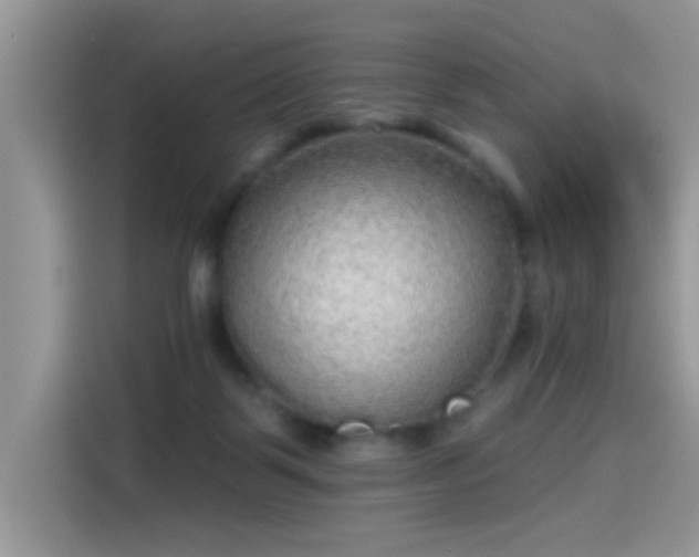 X0000115610123200911171156