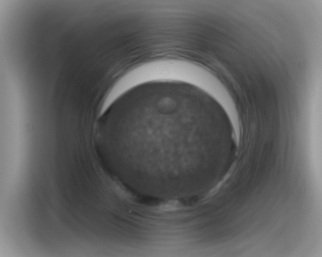 X0000115610124200911171156