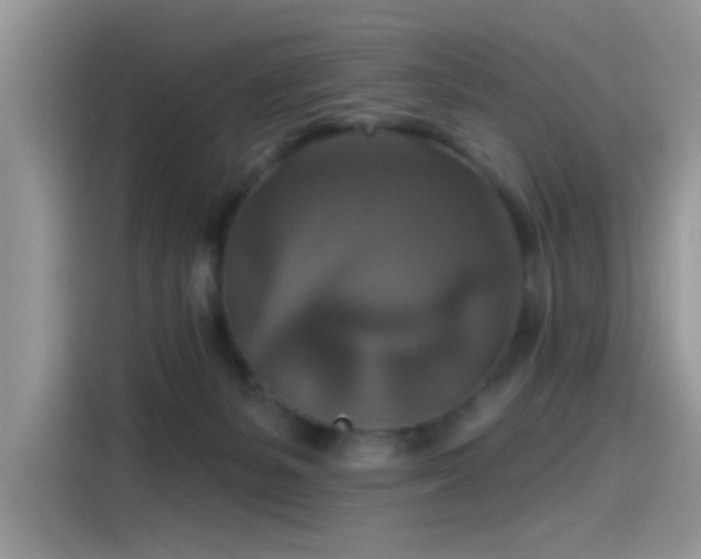 X0000115610127200911171156