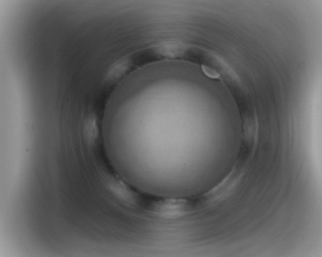 X0000115610128200911171156