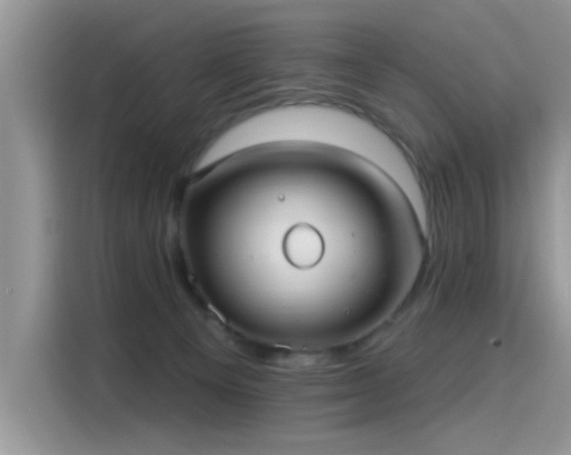 X0000115610129200911171156