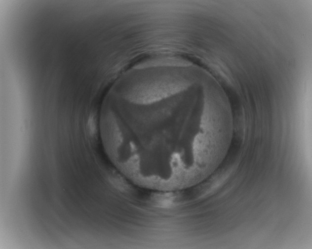 X0000115610131200911171156