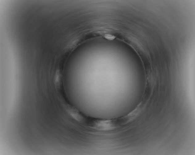X0000115610132200911171156