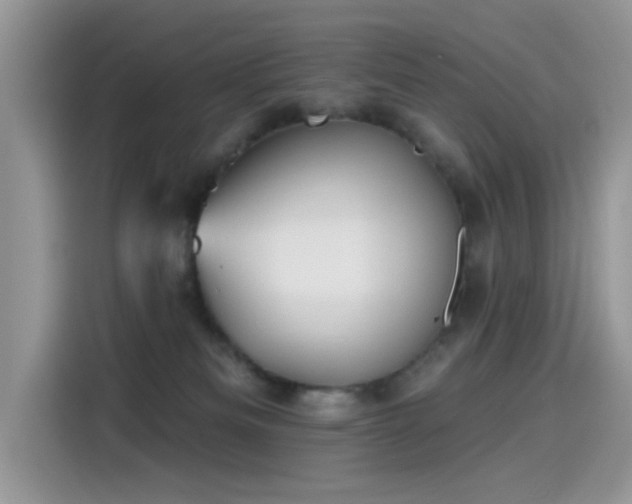 X0000115610133200911171156