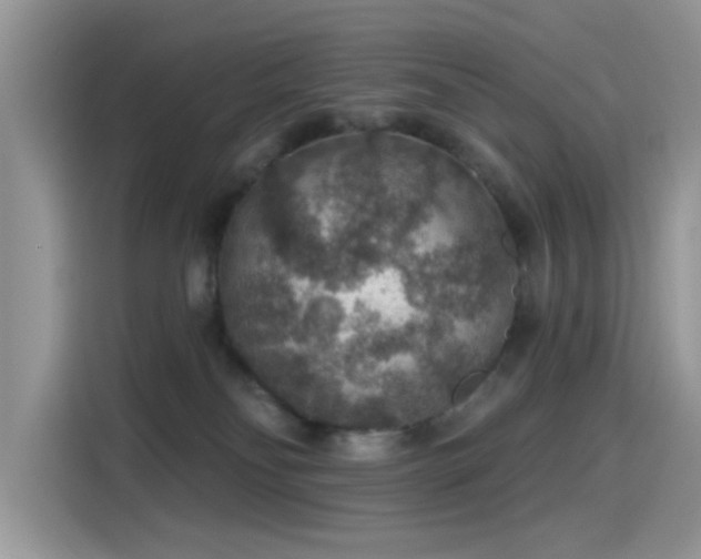 X0000115610134200911171156