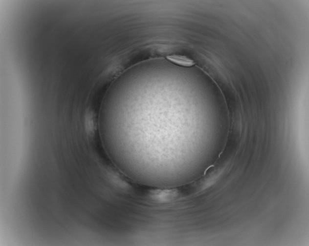 X0000115610135200911171156