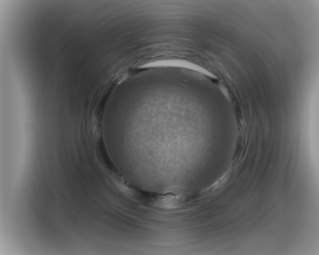 X0000115610136200911171156