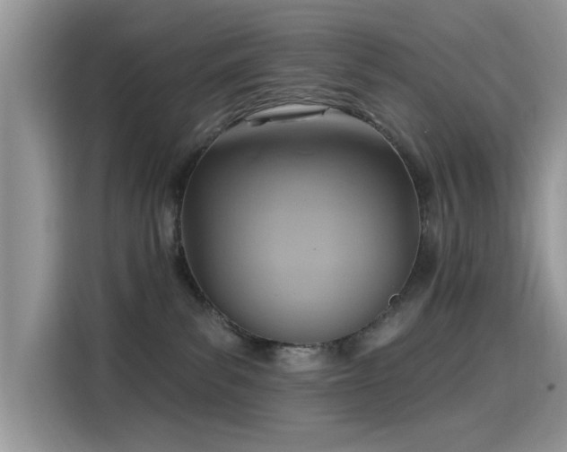 X0000115610139200911171156