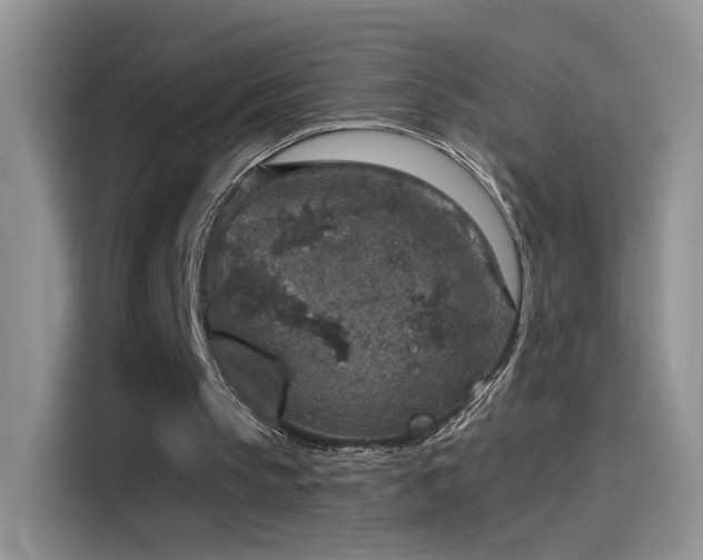 X0000115610145200911171155