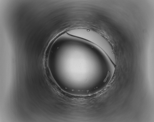X0000115610146200911171155