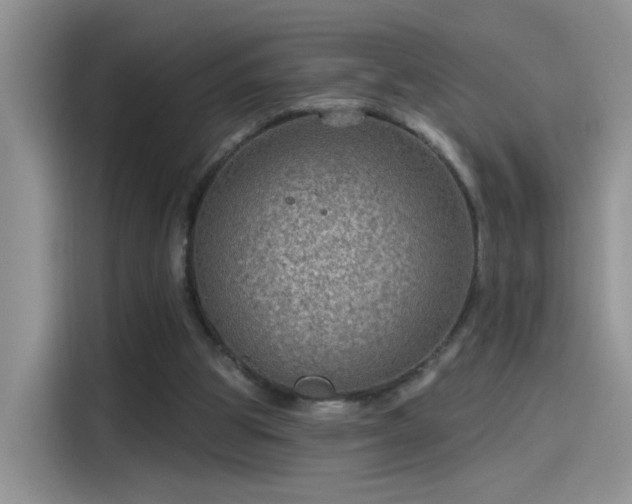 X0000115610153200911171155