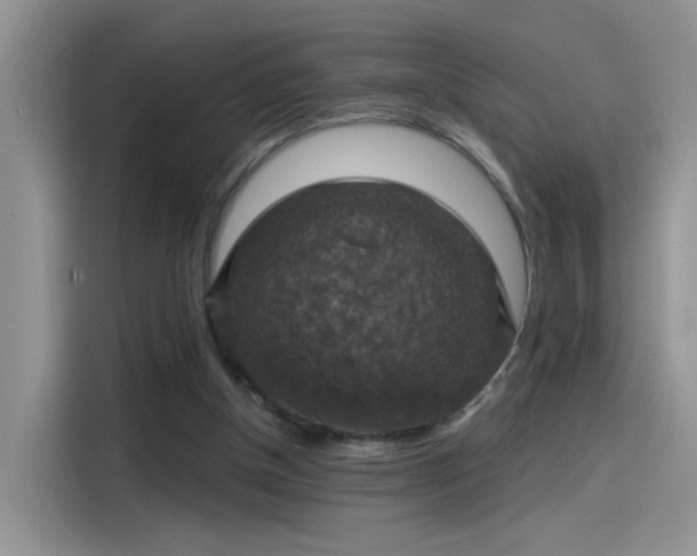 X0000115610154200911171155