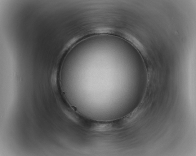 X0000115610155200911171155