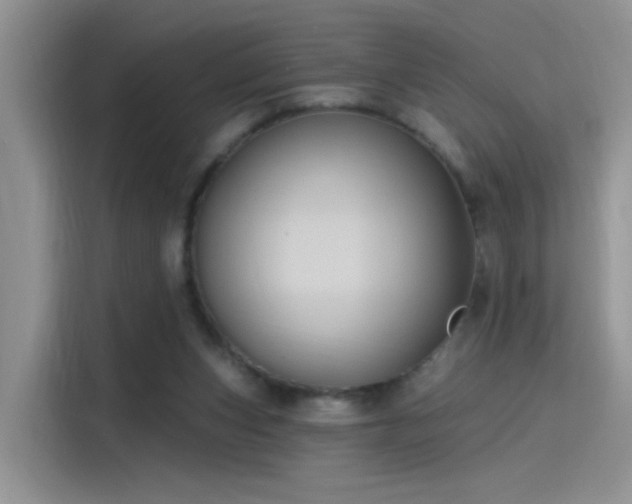 X0000115610159200911171155