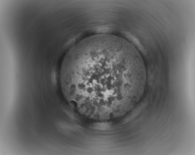 X0000115610161200911171155
