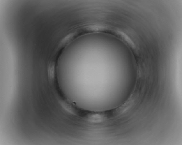 X0000115610163200911171155
