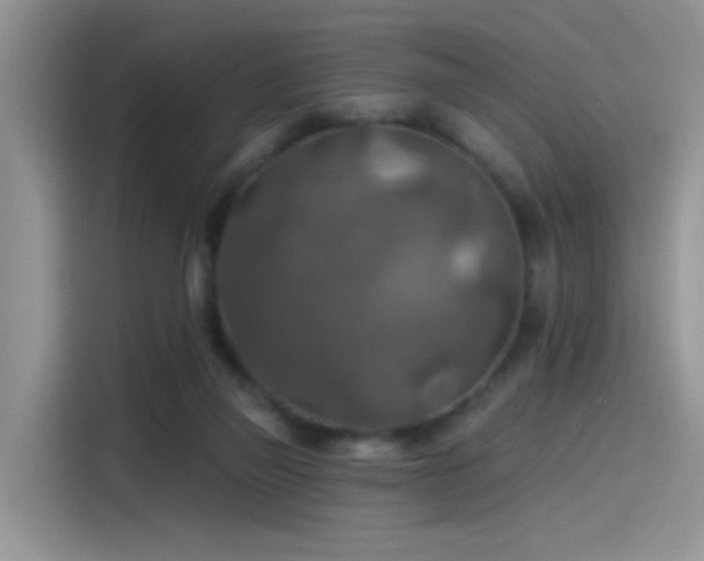 X0000115610165200911171155