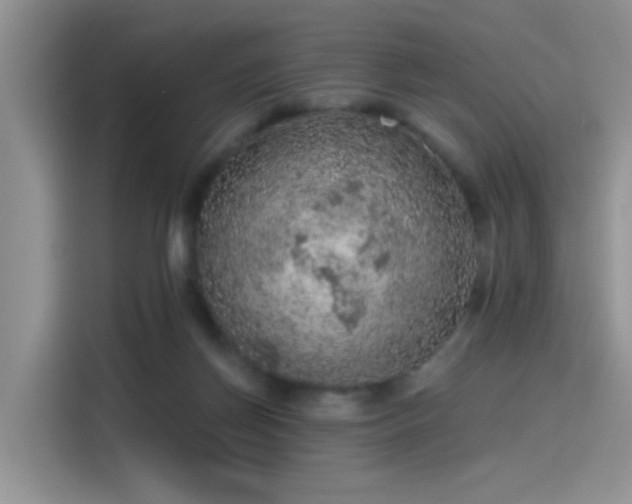 X0000115610166200911171155