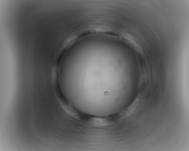 X0000115610167200911171155