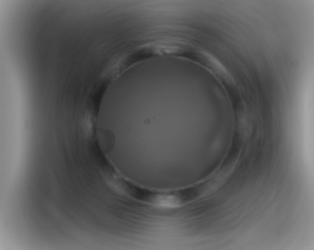 X0000115610169200911171155