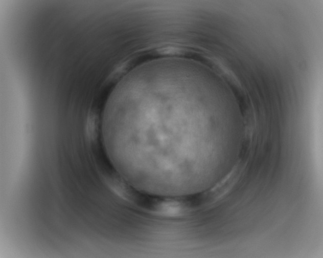 X0000115610171200911171155