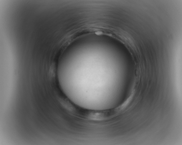 X0000115610174200911171155