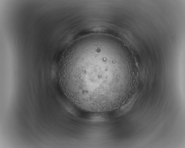 X0000115610175200911171155
