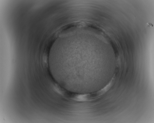 X0000115610178200911171155