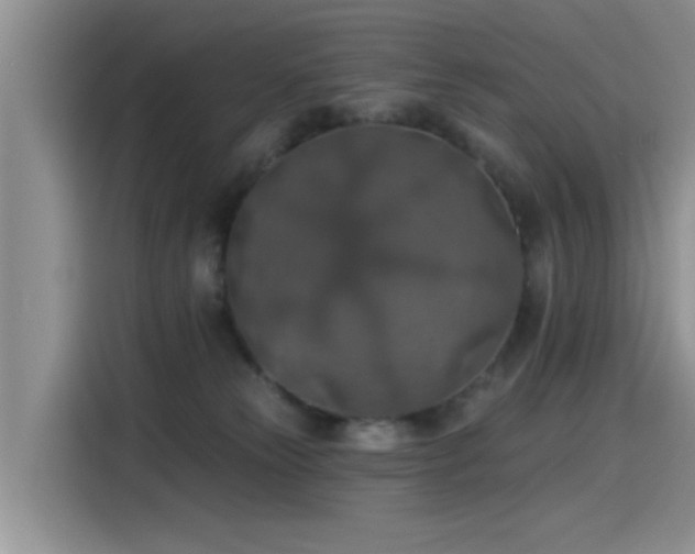 X0000115610181200911171155