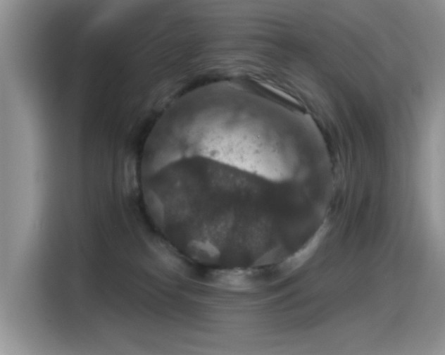 X0000115610182200911171155