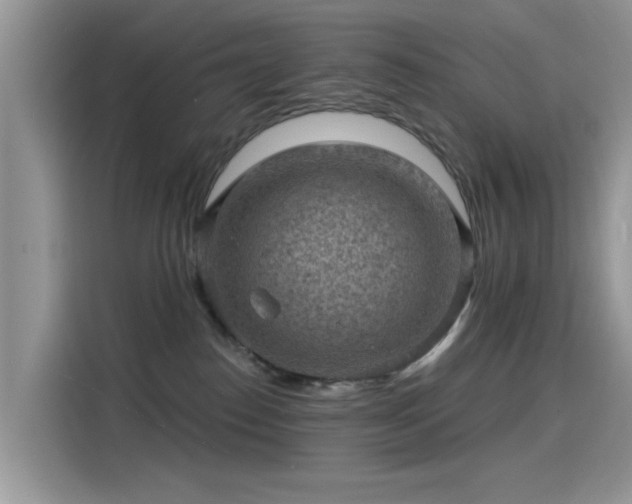 X0000115610186200911171155