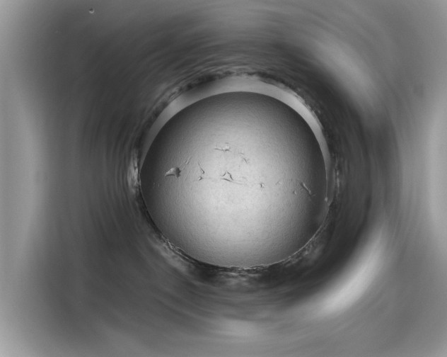 X0000115610190200911171155