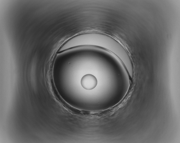 X0000115610193200911171155