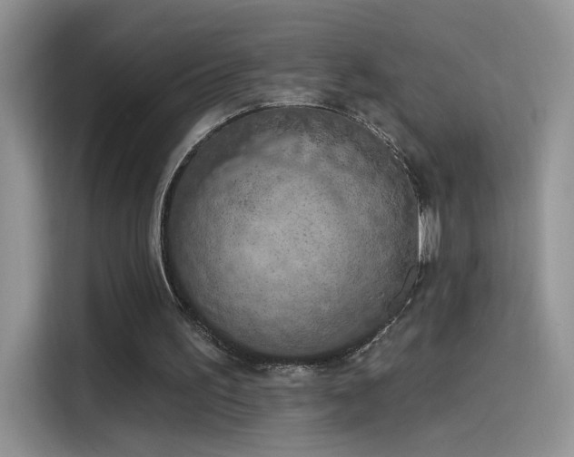 X0000115610195200911171155