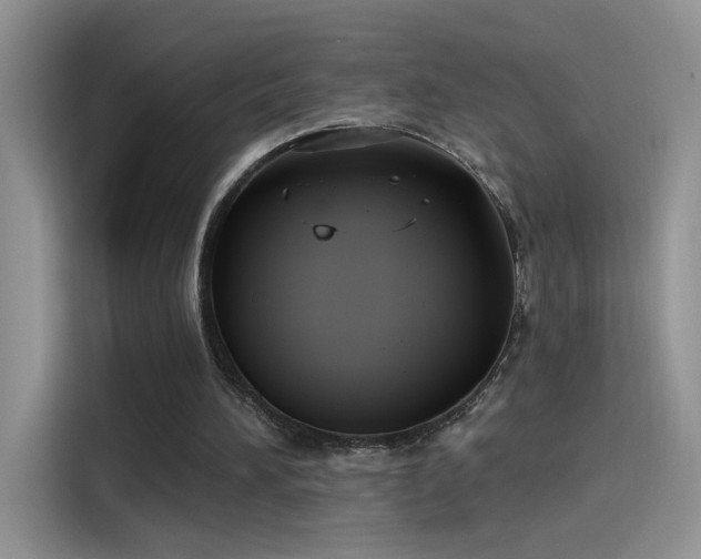X0000115610196200911171155